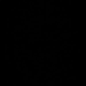 Meet your Posher, Bryce